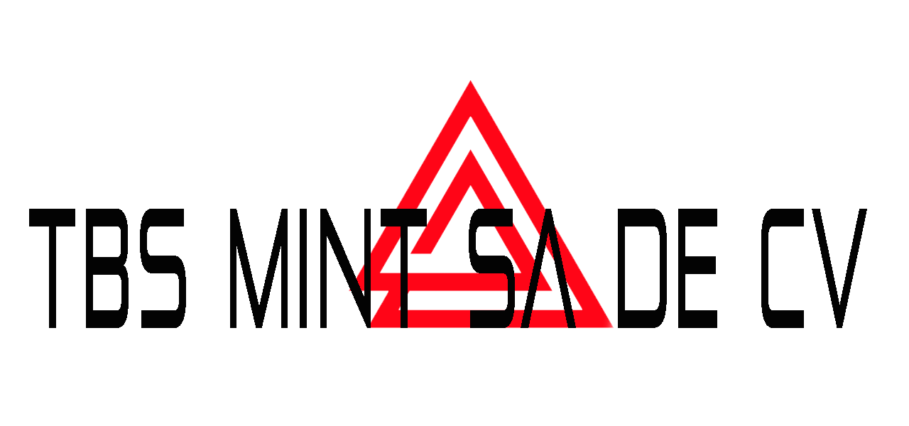 Logo TBS MINT